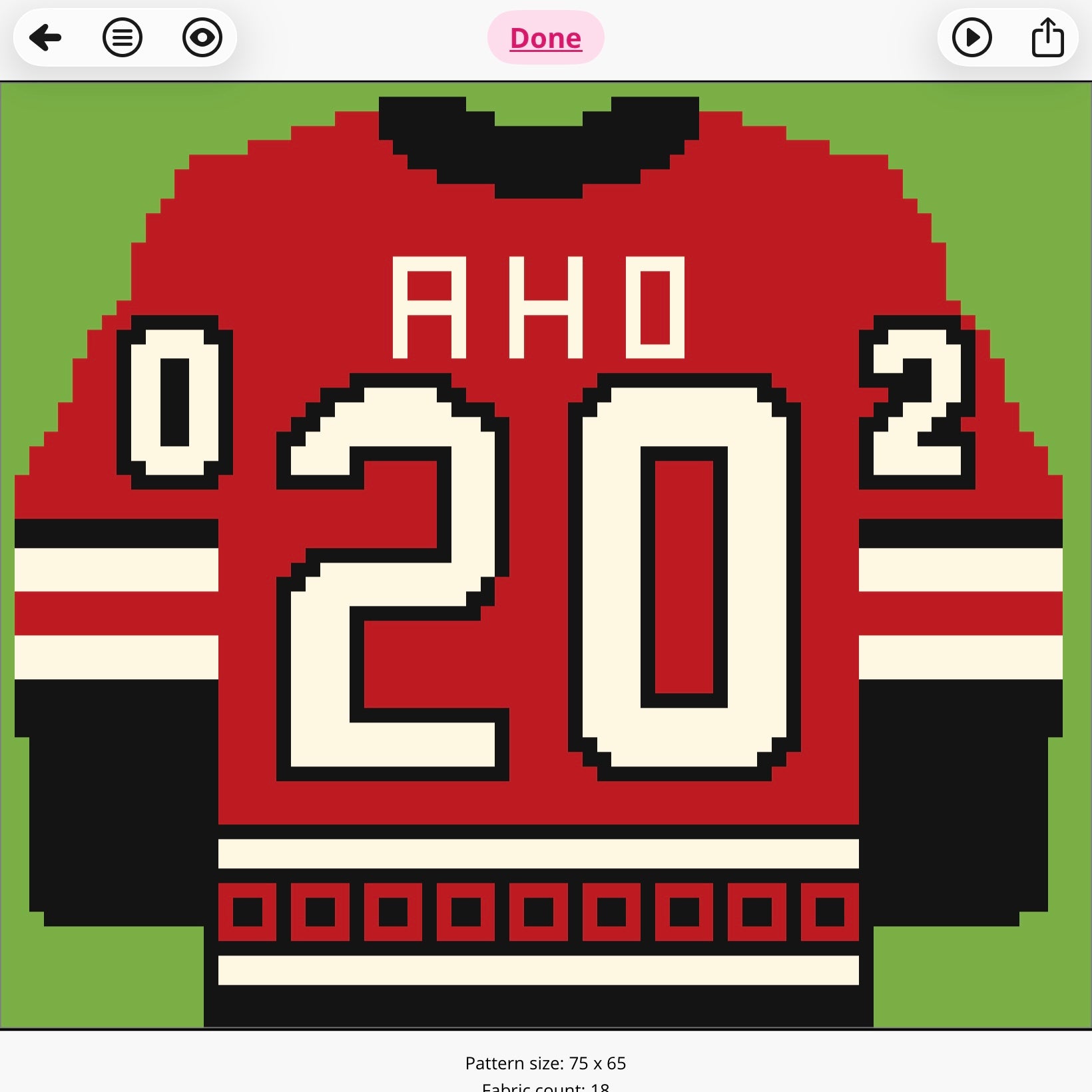 AHO hockey jersey